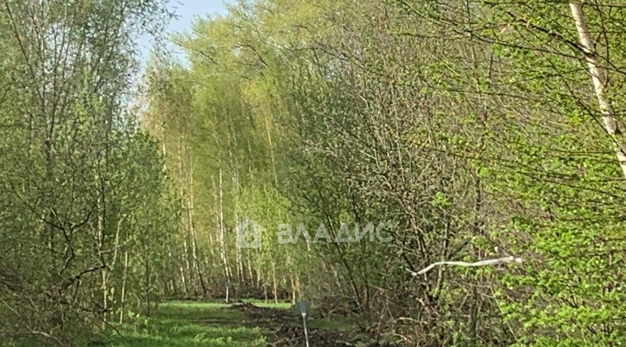 земля г Воронеж р-н Левобережный ул. Славянова, 14 фото 2