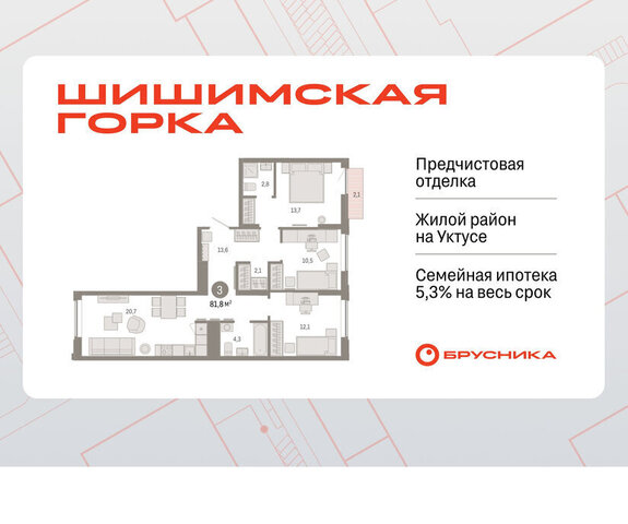 Ботаническая жилой район «Шишимская горка» улица Гастелло, 19А фото