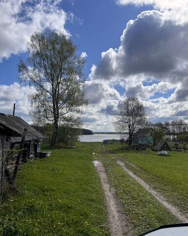 д Плушкино Новоржев фото