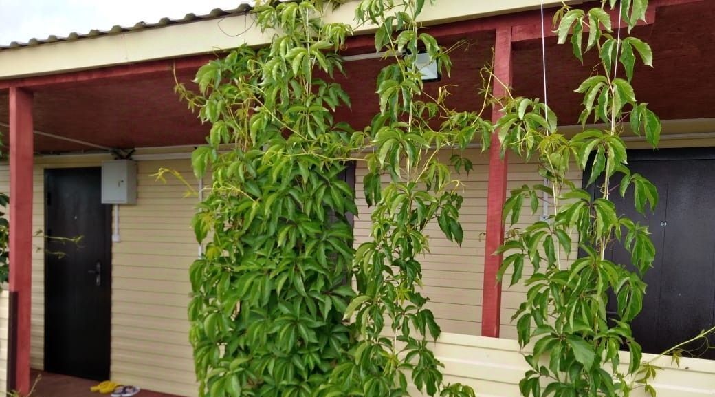 комната г Яровое ул Пушкина 31 фото 8