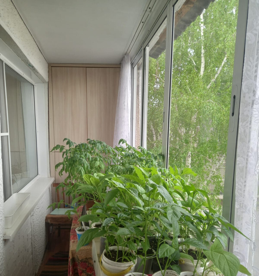 квартира р-н Карасукский г Карасук ул Щорса 142 городское поселение Карасук фото 25