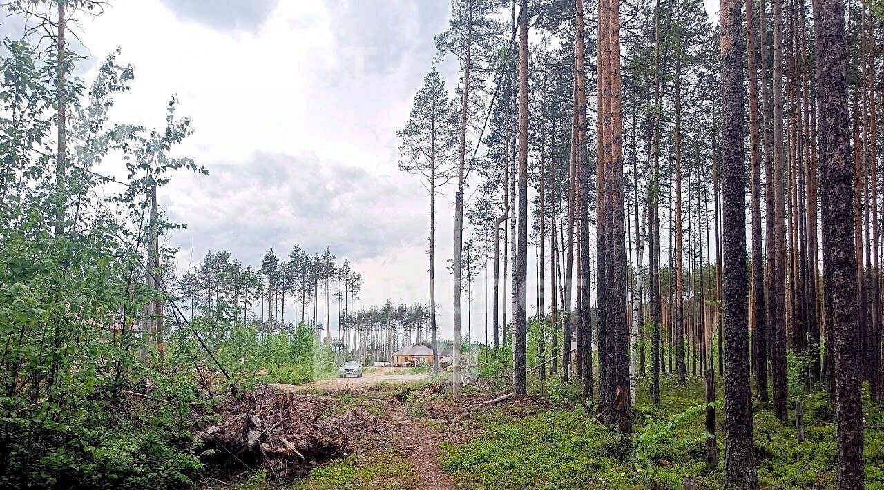 земля г Сыктывкар пгт Краснозатонский ул Линейная 9 фото 6