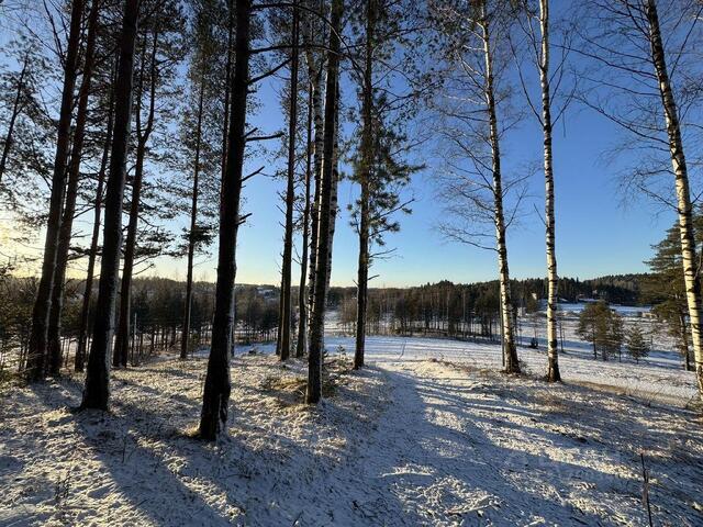 Бугровское городское поселение, Хилл Сайд кп, Парнас фото
