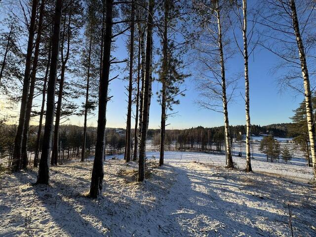 Бугровское городское поселение, Хилл Сайд кп, Парнас фото
