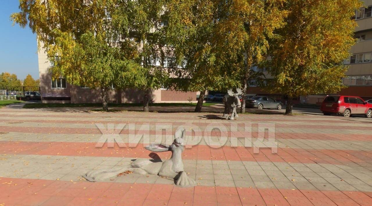 квартира г Новосибирск р-н Кировский Затулинский ул Зорге 98 Площадь Маркса, жилмассив фото 11