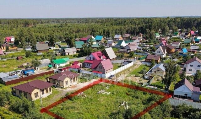 снт Тараскуль ул. Лесная фото