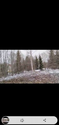 д Нездрино Боровёнковское сельское поселение, Окуловка фото