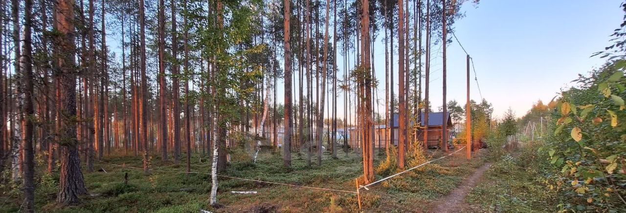 земля г Сыктывкар пгт Краснозатонский ул Линейная фото 4