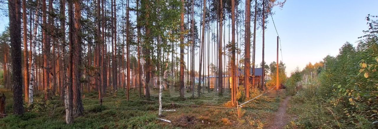 земля г Сыктывкар пгт Краснозатонский ул Линейная фото 5
