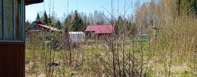 Трасса Скандинавия, 69 км, садоводческое некоммерческое товарищество Смена, 31, Гаврилово фото