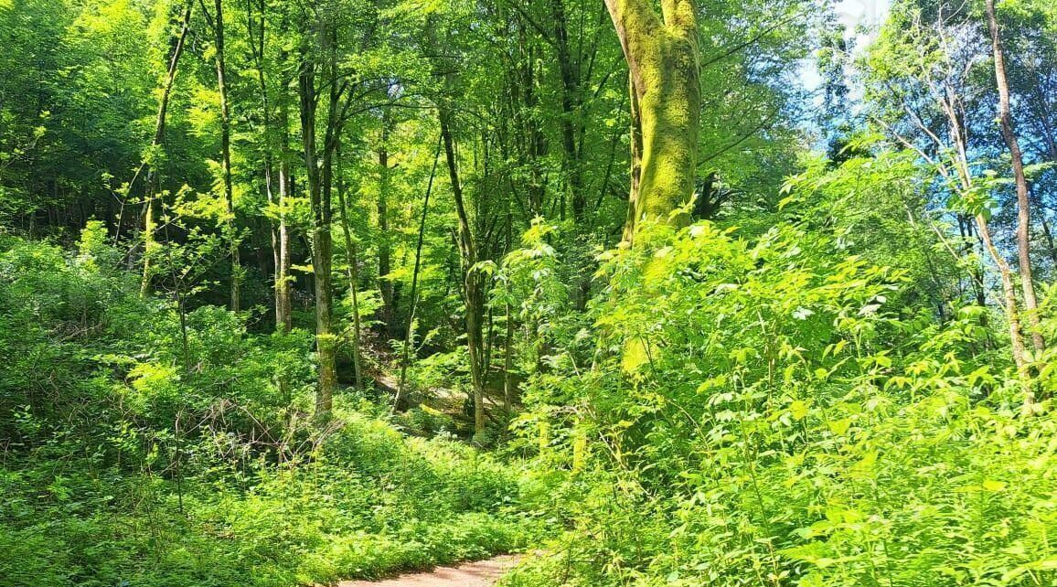земля г Сочи с Пластунка ул. Леселидзе фото 14