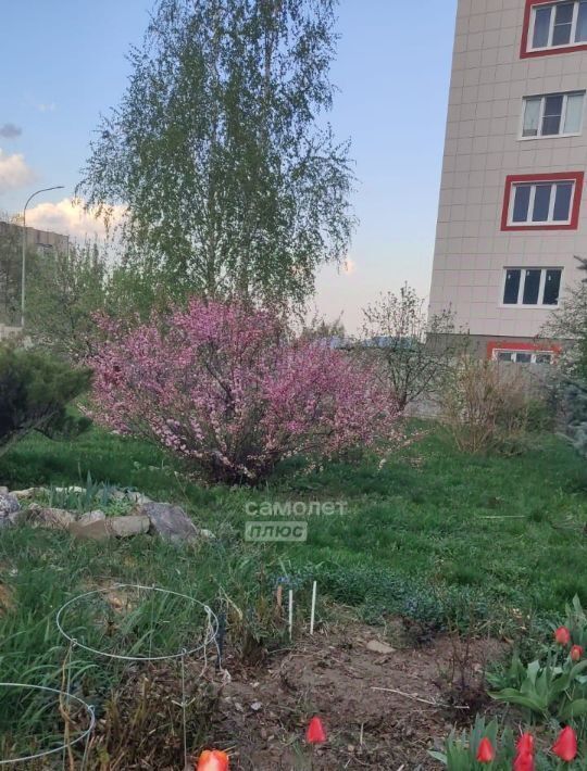 дом р-н Лебедянский г Лебедянь ул Советская 34а фото 9