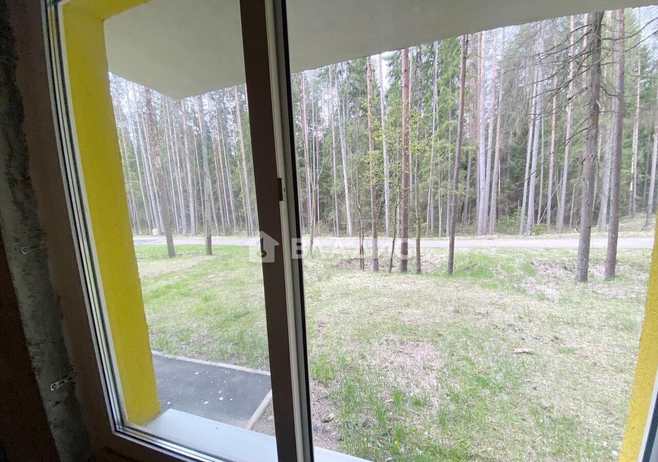 квартира г Зеленогорск Курортный ул Строителей 3к/2 фото 10