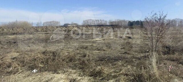 9-й километр, автодорога Тюмень - Боровский фото