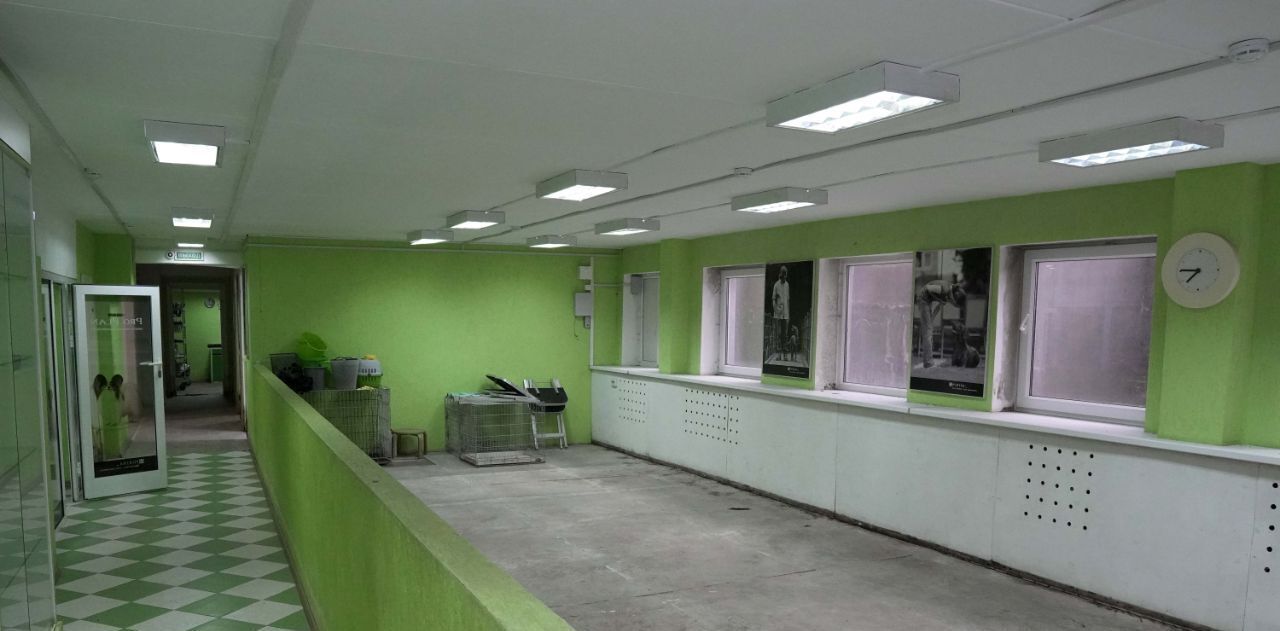 свободного назначения г Екатеринбург р-н Чкаловский Чкаловская ул Чайковского 62 фото 4