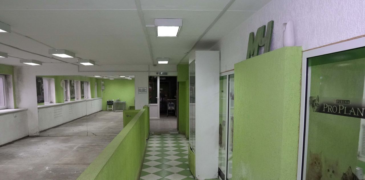 свободного назначения г Екатеринбург р-н Чкаловский Чкаловская ул Чайковского 62 фото 6