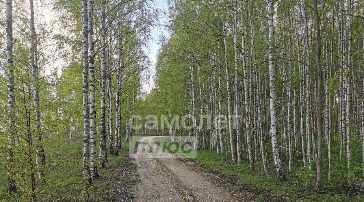 земля р-н Чкаловский г Чкаловск фото 10