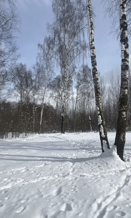 квартира г Лосино-Петровский рп Свердловский ул Заречная 14 ЖК «Лукино-Варино» фото 14