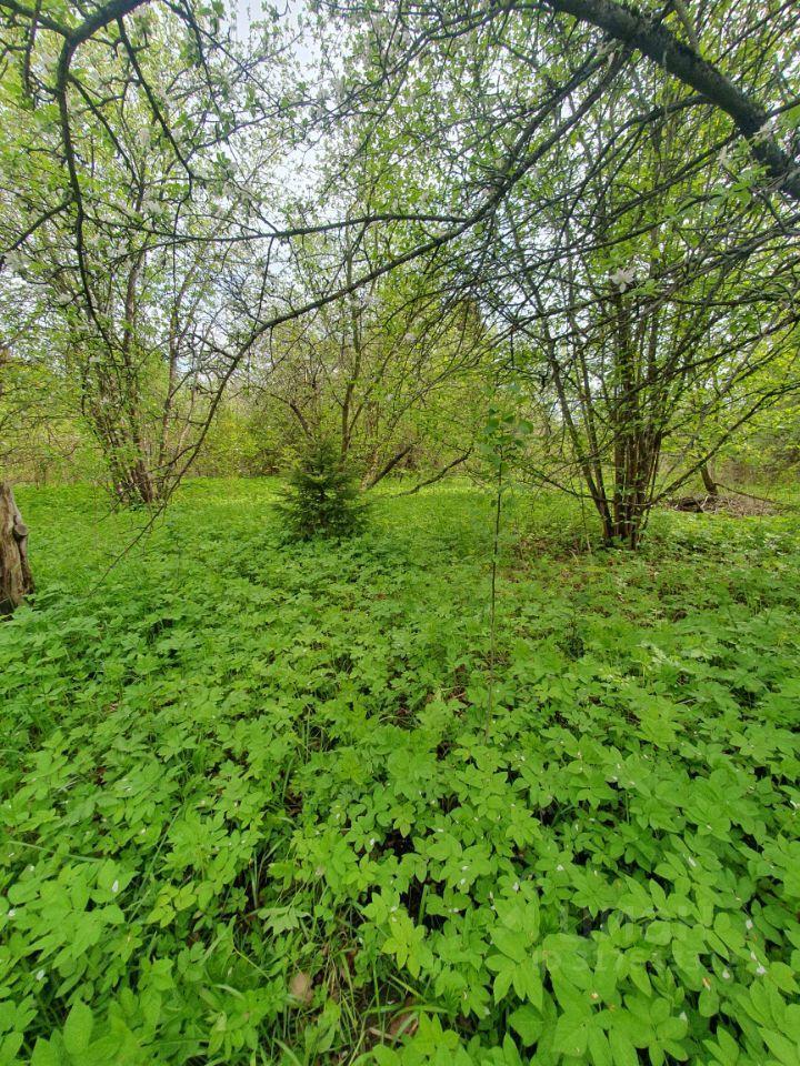 земля городской округ Богородский г Ногинск снт Луч Железнодорожная фото 20