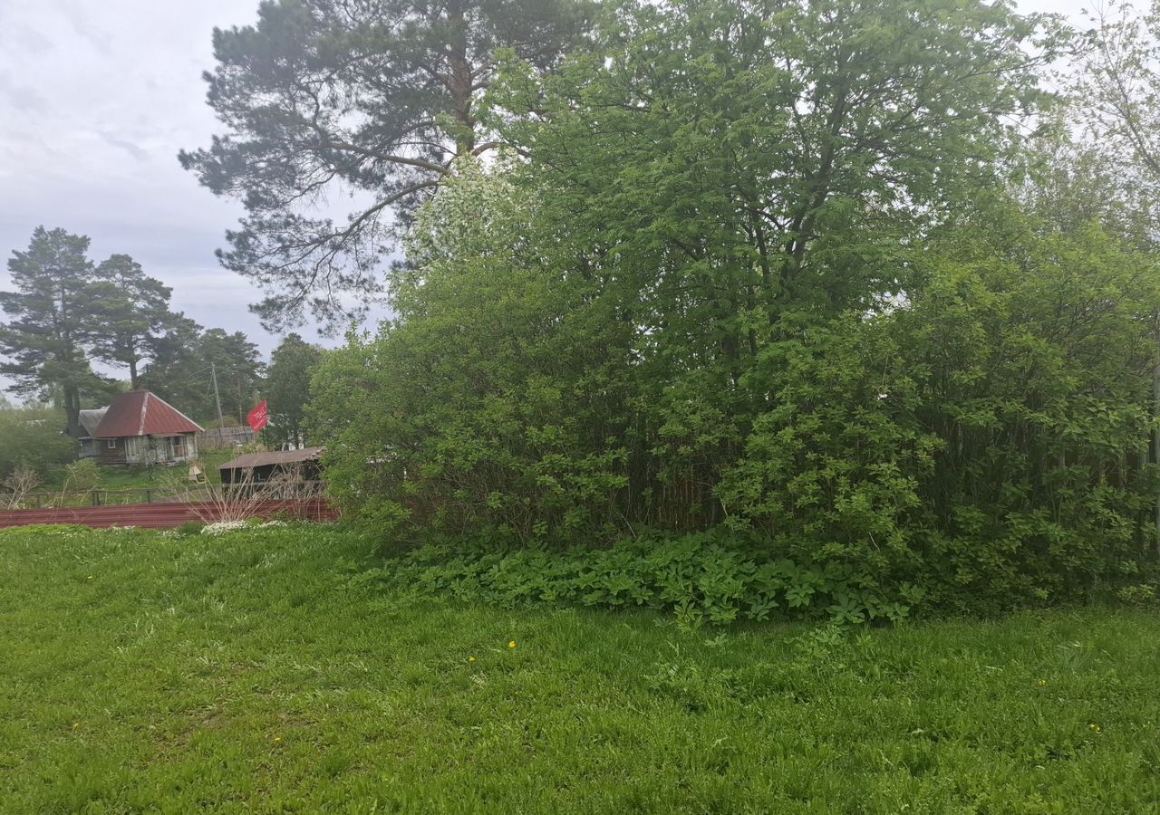 земля г Томск п Светлый снт Светлячок р-н Октябрьский фото 21