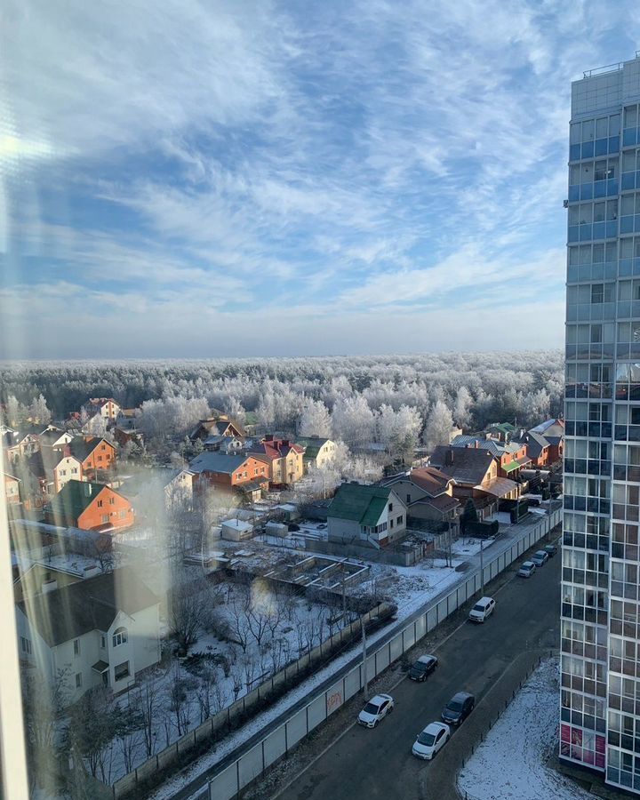квартира г Воронеж р-н Коминтерновский пр-кт Московский 209 фото 12
