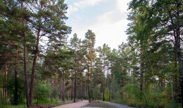 квартира г Тюмень р-н Калининский ул Ильи Кургузова 3 секц. 1 фото 14