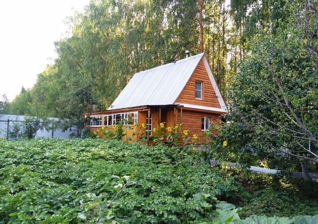сад тер коллективныйN100 Строитель Екатеринбург фото