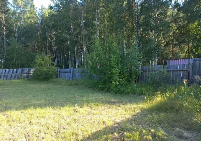 снт Сосновый бор фото