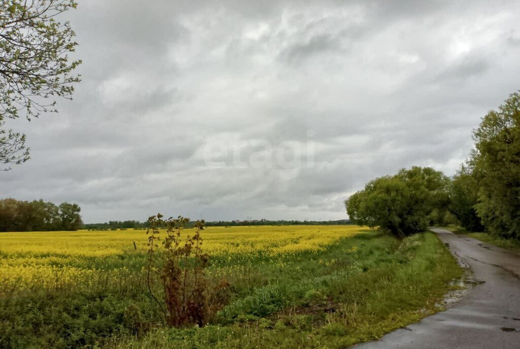 земля р-н Гурьевский г Гурьевск фото 7