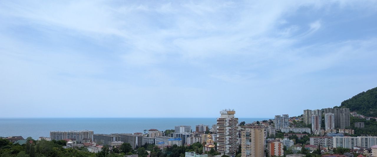 квартира г Сочи р-н Центральный ул Виноградная 195/1 фото 2