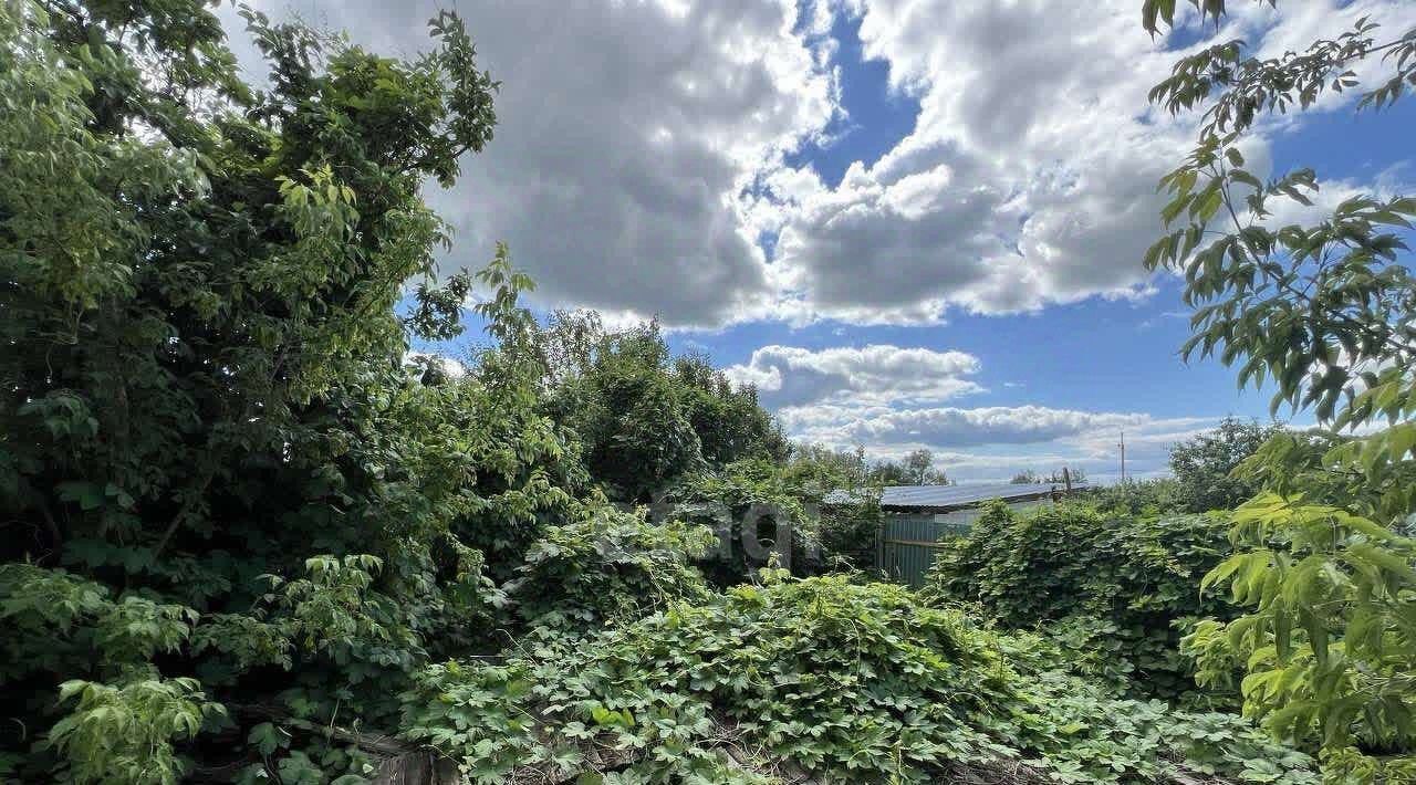 земля г Выкса рп Шиморское ул Советская 85 фото 9