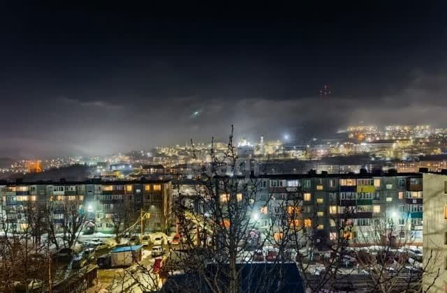 квартира г Петропавловск-Камчатский пр-кт Циолковского 65 фото 1