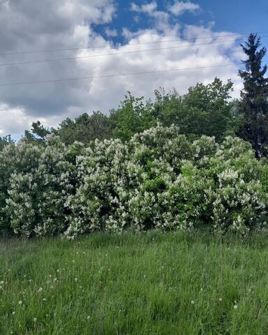 Мичуринский муниципальный округ, Устье фото