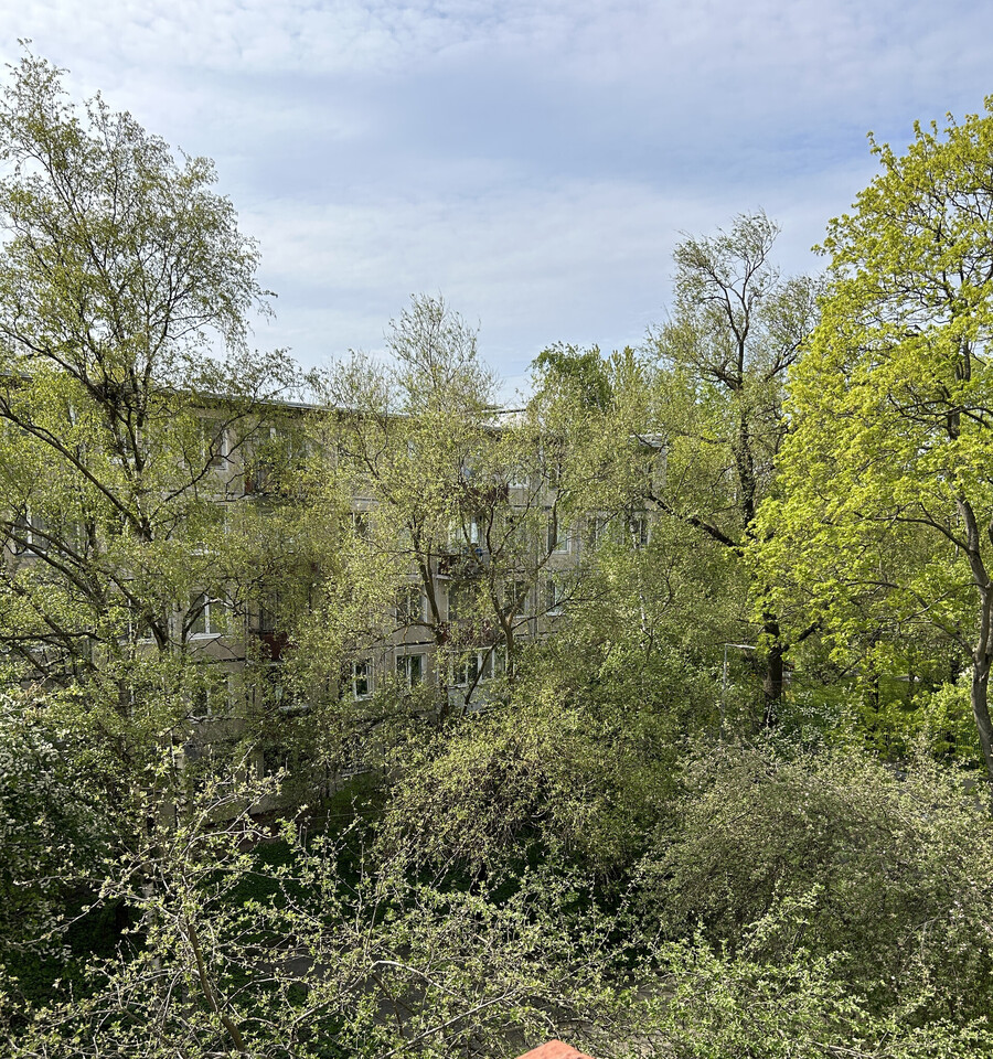 квартира г Санкт-Петербург метро Парк Победы Гагаринское пр-кт Юрия Гагарина 14/5 фото 5