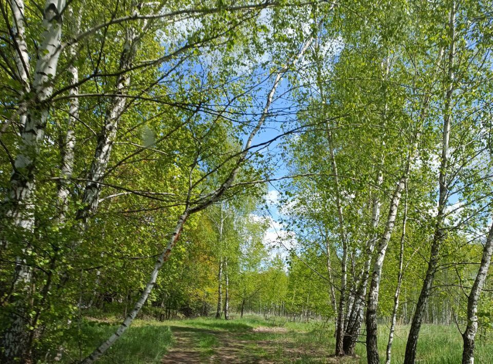 земля г Донской мкр Задонье ул Трудовая фото 14