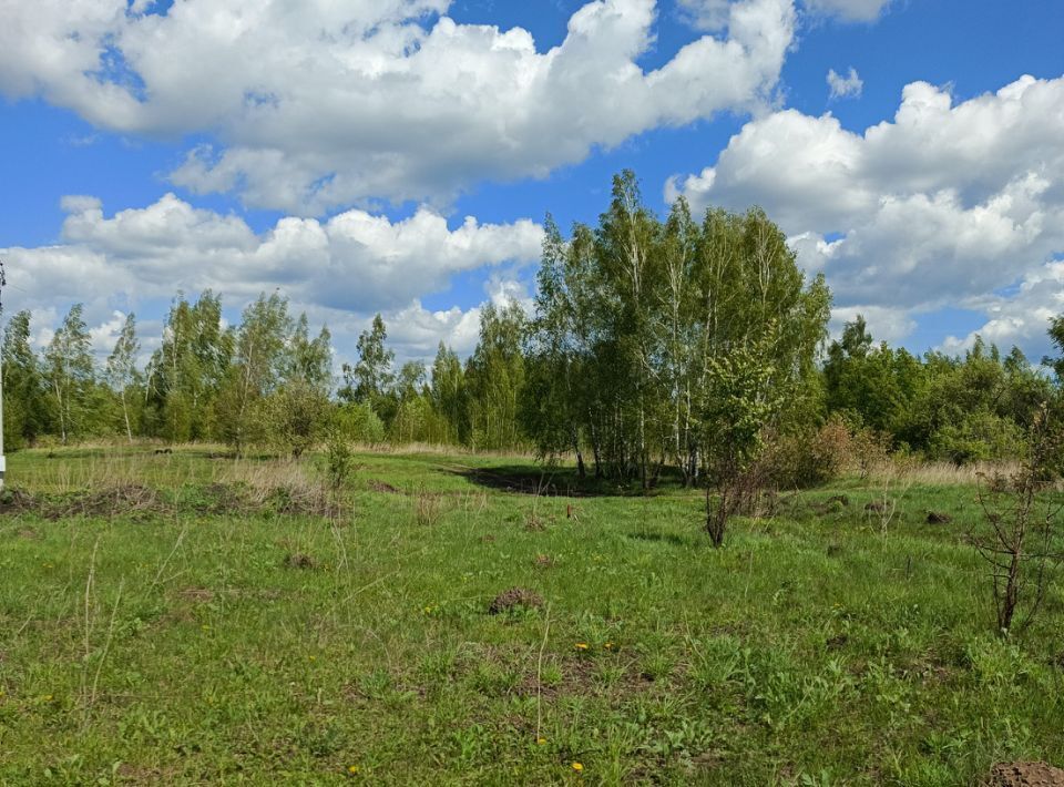 земля г Донской мкр Задонье ул Трудовая фото 21