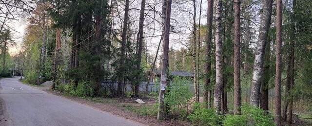 пер Зелёный Выборгское шоссе, 27 км, Рощинское городское поселение, городской пос. Рощино фото
