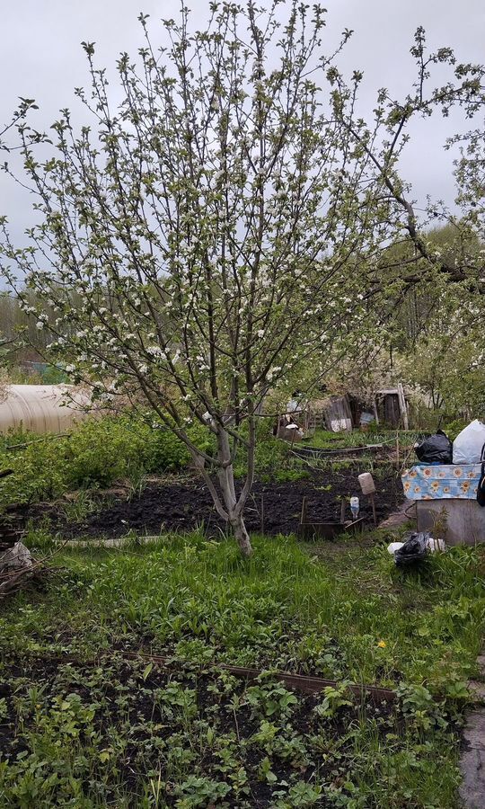 дом г Набережные Челны р-н Комсомольский снт СОЮЗ-Н Республика Татарстан Татарстан, 89 фото 6