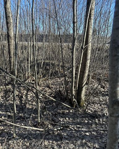 ул Сарженская 98 Приозерское шоссе, 13 км, Агалатовское сельское поселение фото