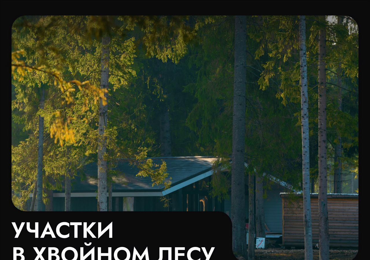 земля г Клин 54 км, эко-посёлок Ели эстейт, Новопетровское, Ленинградское шоссе фото 17