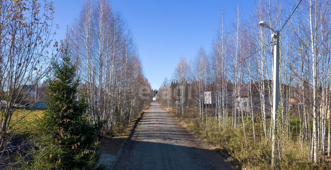 земля г Томск п Родионово ул Российская р-н Советский фото 16