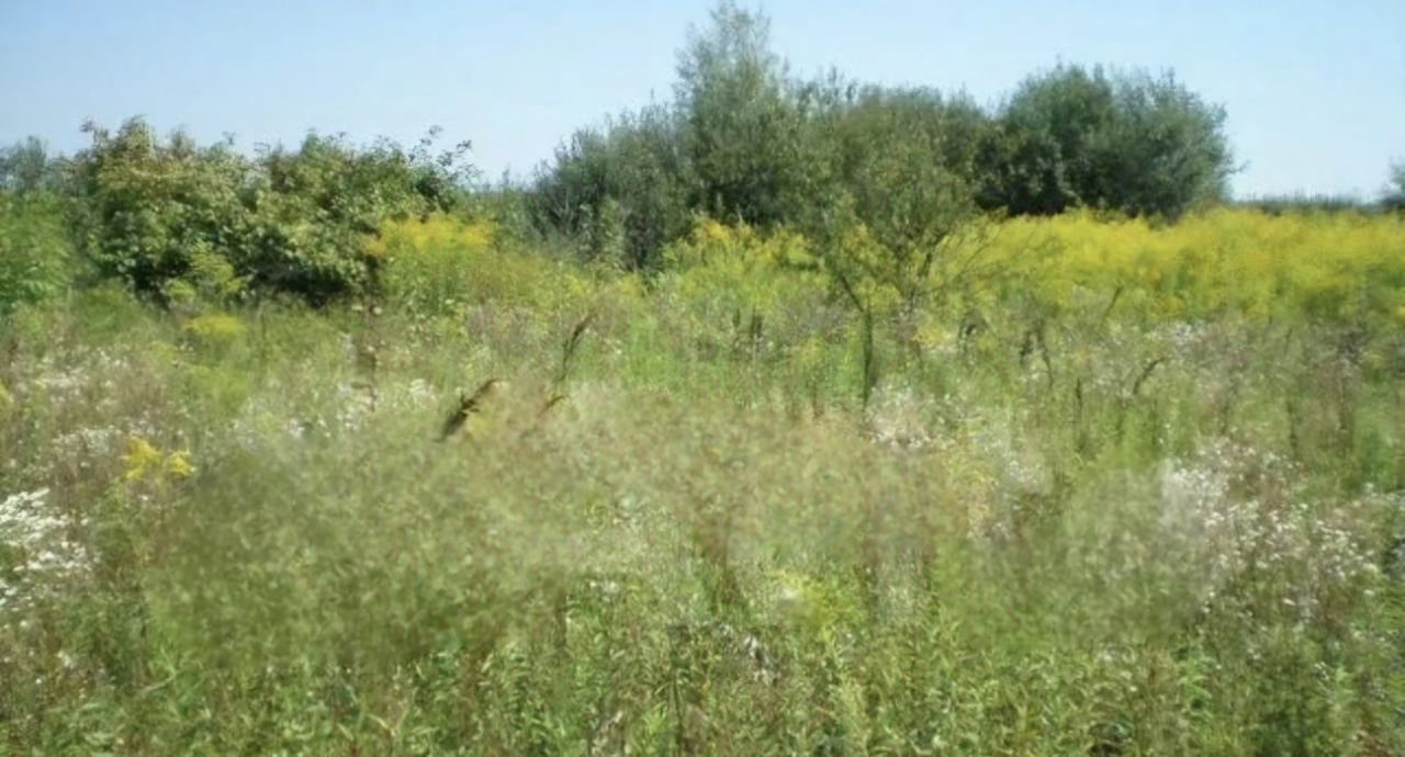 земля г Светлый п Люблино Светловский городской округ фото 1