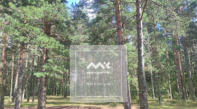 метро Озерки Озерки тер. фото