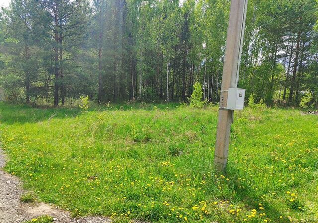 Суроватиха, СТ Урожай фото