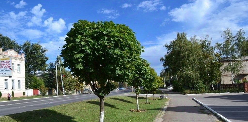 комната р-н Россошанский г Россошь ул Пролетарская 68 городское поселение Россошь фото 18