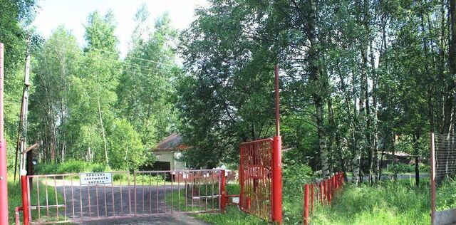 линия 8, Электрогорск фото
