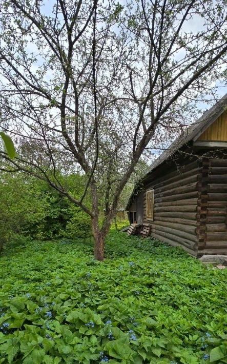 дом городской округ Богородский г Старая Купавна снт Чайка Железнодорожная, 76 фото 6