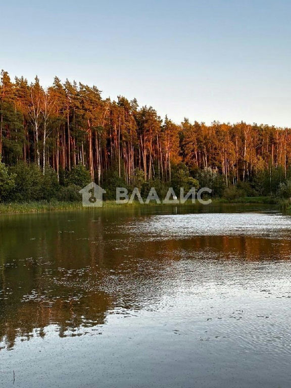 квартира г Одинцово ул Каштановая 8 МЦД-4, Внуково фото 22