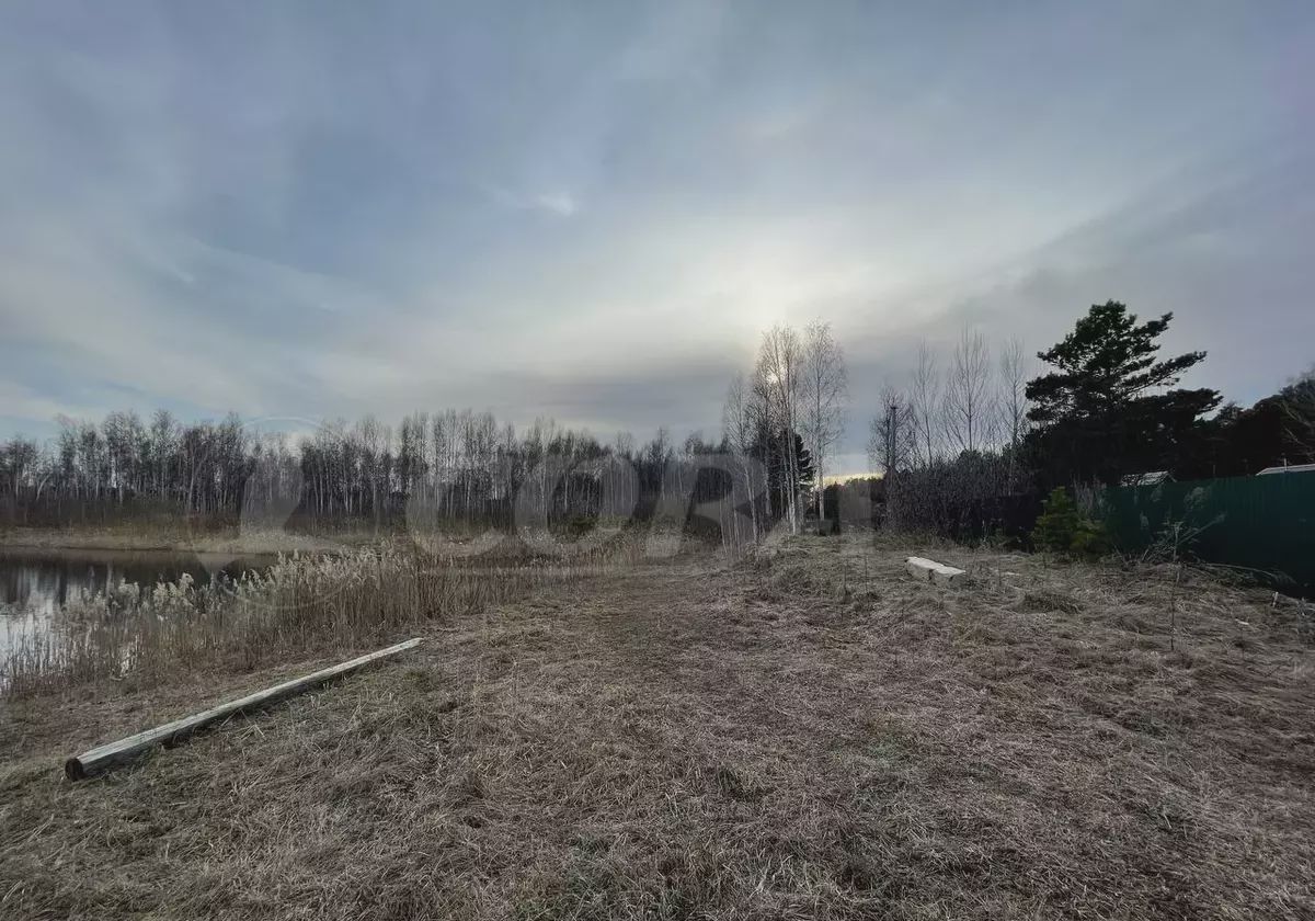 земля г Тюмень снт Сосновая поляна фото 3