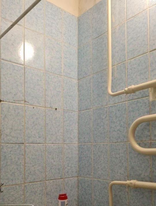 квартира г Псков ул Ижорского Батальона 37 фото 17